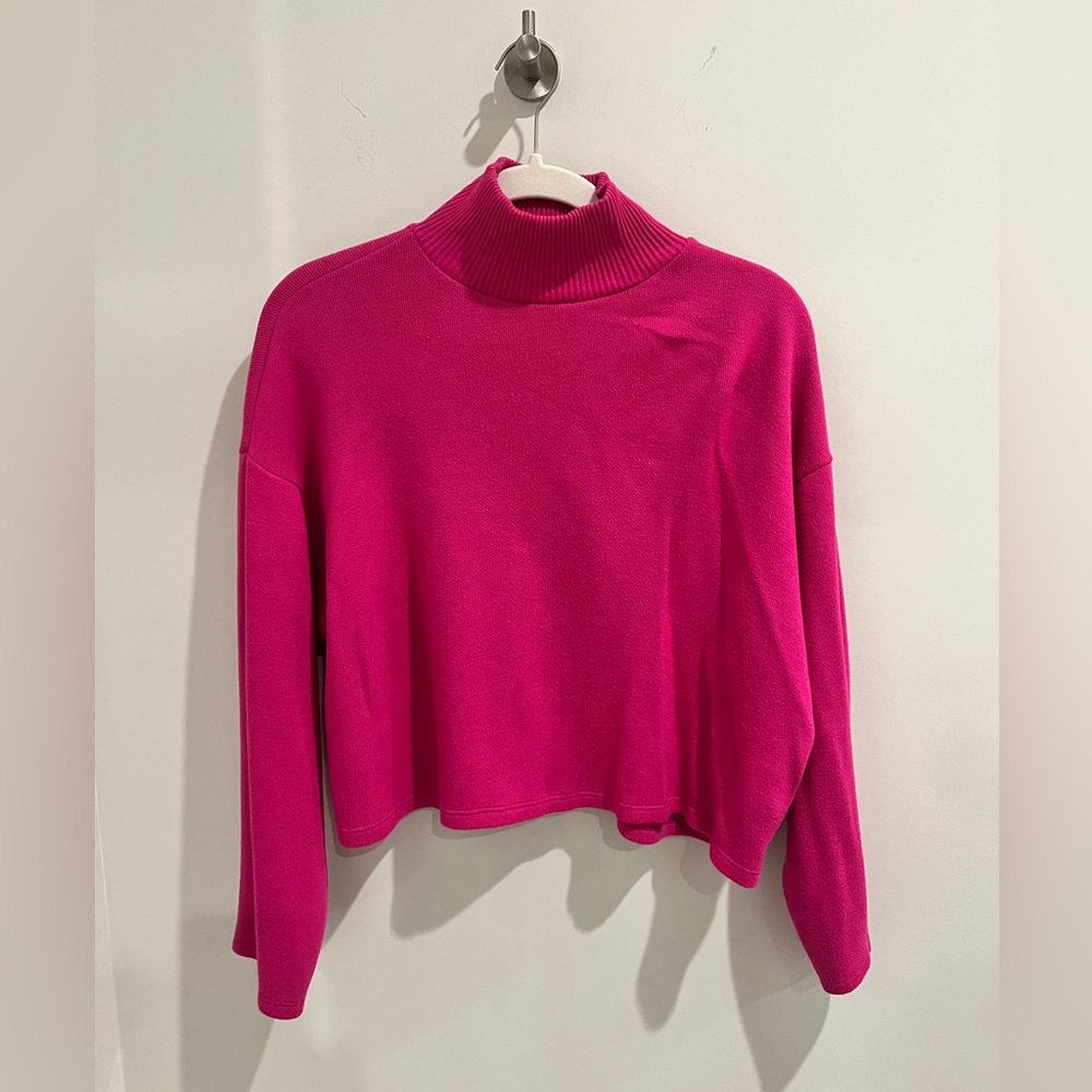 Zara Turtle Neck Sweater